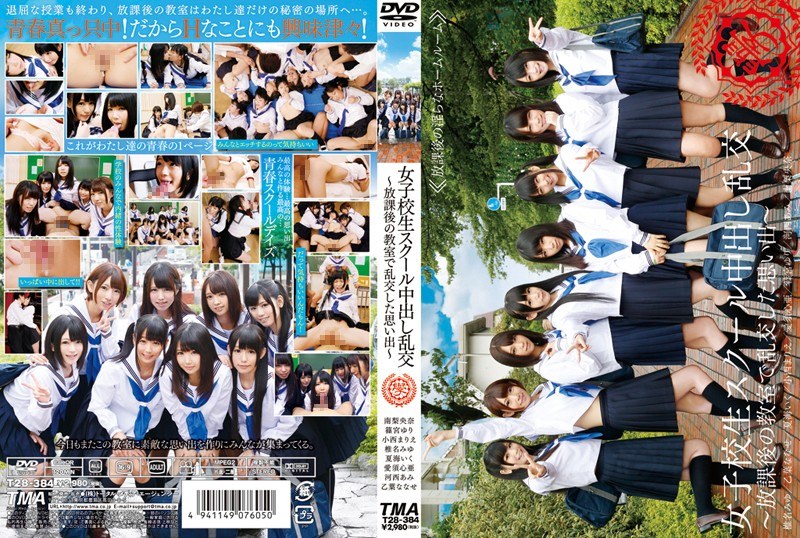 T28-384-RM [Reducing Mosaic] Memories – Which Signed Turbulent In Orgy – After-school Classroom Pies School Girls School