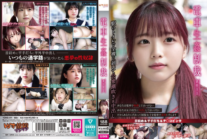 YDNS-011 Train R**e Punishment #011